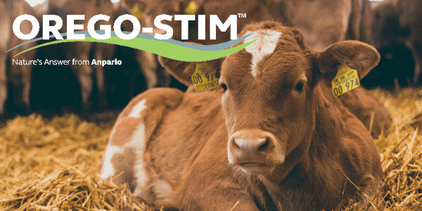 Trial Summary: The Effect of Orego-Stim Fed to Cows on the Redox Status of Calves